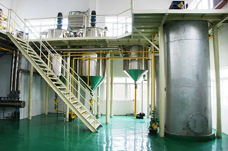 Tongkat Ali capsule